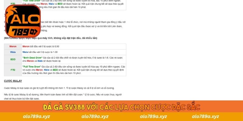 Đá gà SV388 với các lựa chọn cược đặc sắc