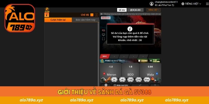 Giới thiệu về sảnh đá gà SV388